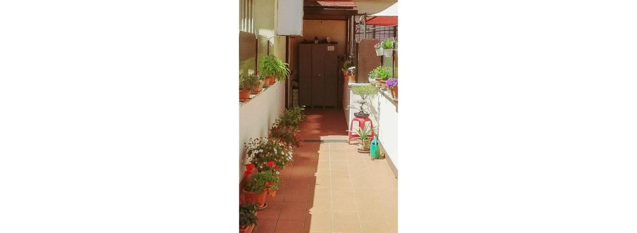 Apartament St. Peter Sweets Rzym Zewnętrze zdjęcie